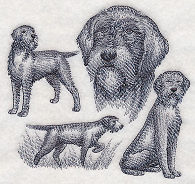 Wirehaired Pointing Griffon Sketch (Full Tail) - Image 3