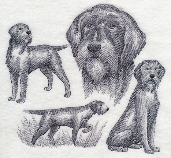 Wirehaired Pointing Griffon Sketch (Full Tail) - Image 4