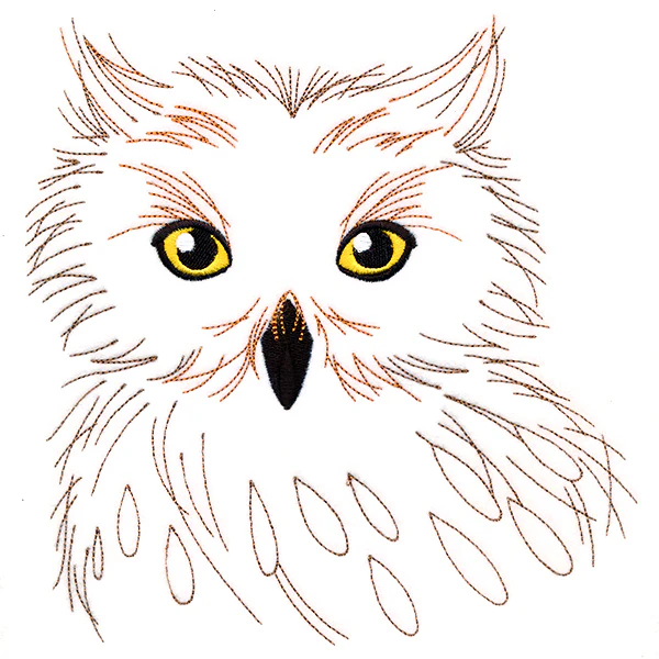 Wise Owl