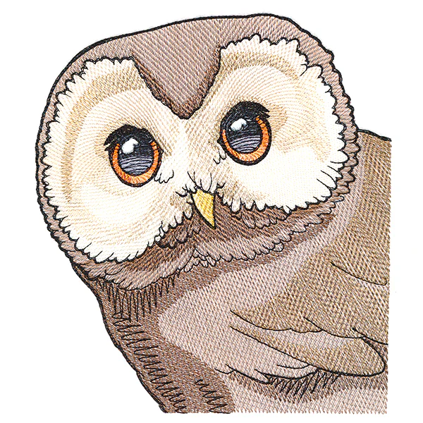 Wise Peeking Owl
