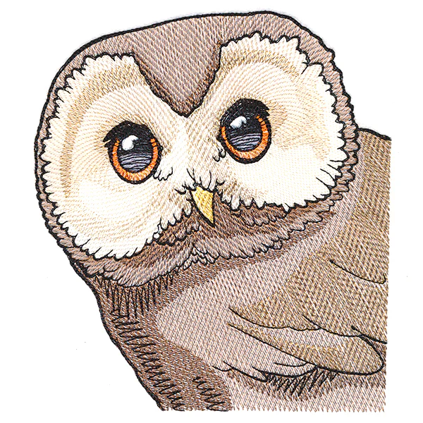 Wise Peeking Owl - Image 2