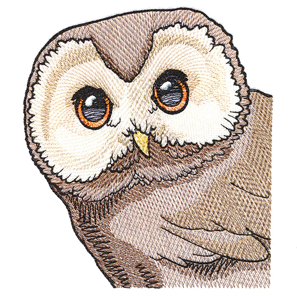 Wise Peeking Owl - Image 3