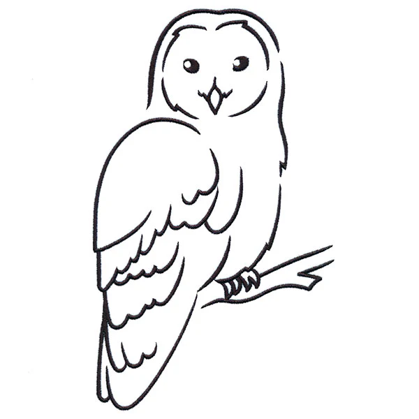 Wise Winter Owl - Image 2