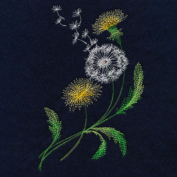 Wispy Dandelions