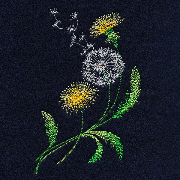 Wispy Dandelions - Image 3