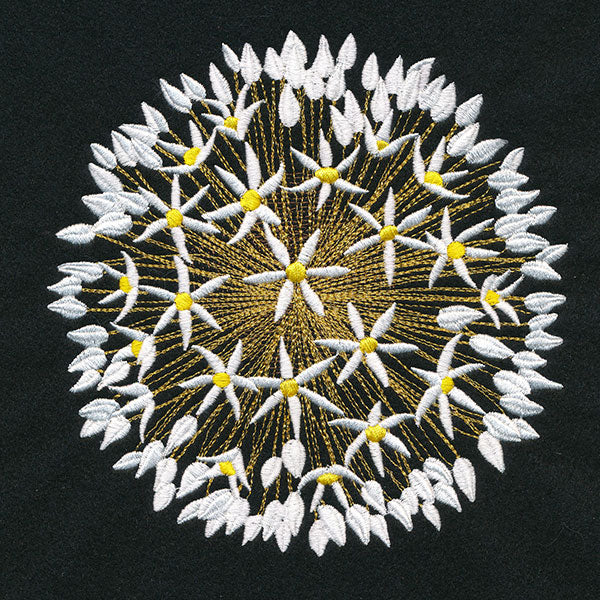Wonder & Beauty Allium - Image 3
