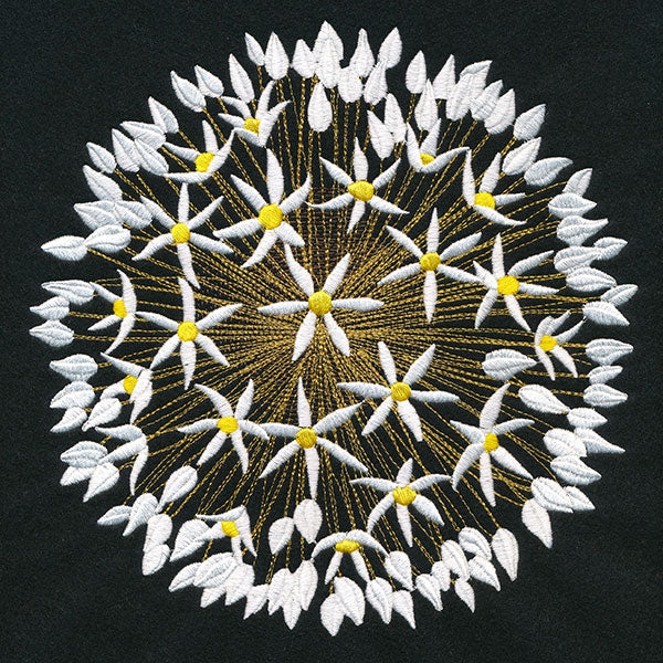 Wonder & Beauty Allium - Image 5