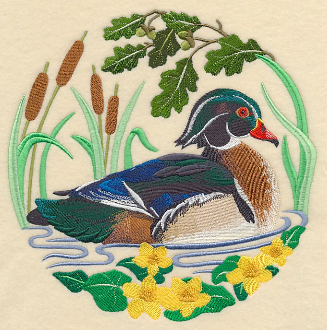 Wood Duck Scene - Image 6