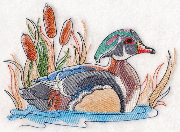 Wood Duck Sketch - Image 2