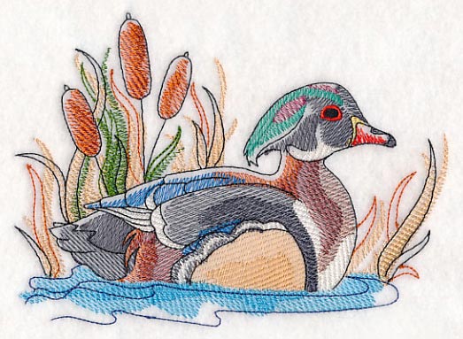 Wood Duck Sketch - Image 3