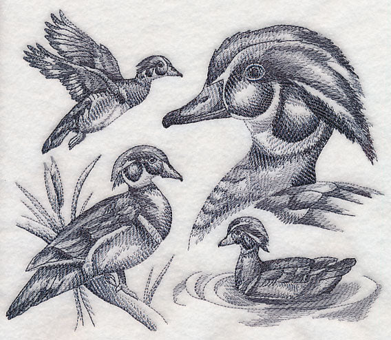 Wood Duck Sketch - Image 4
