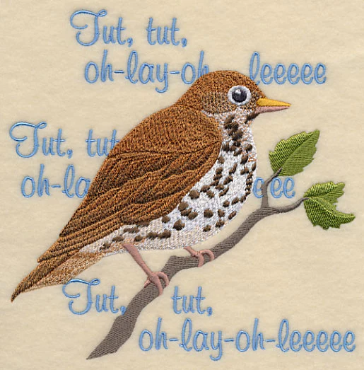 Wood Thrush Song - Image 4