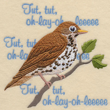 Wood Thrush Song - Image 5