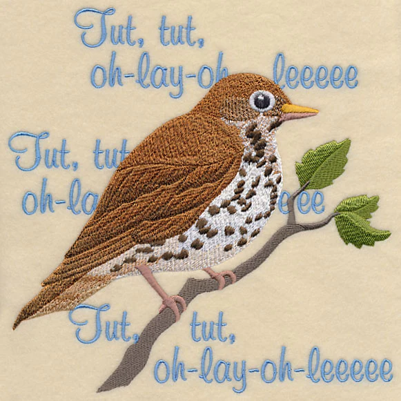 Wood Thrush Song - Image 6